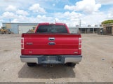 Ford F-150 Fx4/Harley-Davidson/King Ranch/Lariat/Platinum/Xl/Xlt 1FTFW1EV1AFC85132 photo