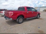 Ford F-150 Fx4/Harley-Davidson/King Ranch/Lariat/Platinum/Xl/Xlt 1FTFW1EV1AFC85132 photo
