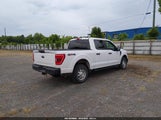 Ford F-150 Xl 1FTEW1EB7MKE70900 photo