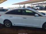 Hyundai Sonata Sport 2.0T 5NPE34AB3JH649395 photo