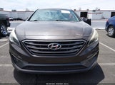 Hyundai Sonata Sport 5NPE34AF4GH261099 fotografie