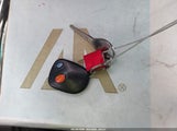 Miniaturka zdjęcia 11