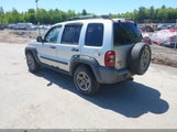 Jeep Liberty Renegade 1J4GL38K36W162511 fotografie