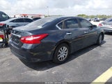 Nissan Altima 2.5/2.5 S/2.5 Sl/2.5 Sr/2.5 Sv 1N4AL3AP0GC206605 fotografie