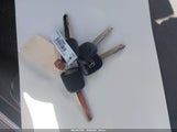 Miniaturka zdjęcia 11
