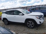 GMC Terrain Fwd Slt 3GKALPEVXML308735 fotografie