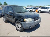 Ford Escape Xlt/Xlt Sport 1FMYU03186KA29539 fotografie