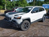 Jeep Cherokee Trailhawk 1C4PJMBS8FW729340 photo
