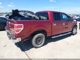 Ford F-150 Xlt 1FTEW1CM0DKD00057 fotografie