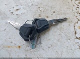 Miniaturka zdjęcia 11