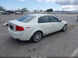 Acura Tl 19UUA66225A053246 fotografie