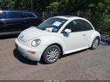 Volkswagen New Beetle Gls 3VWCK31C25M417882 снимка