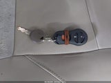 Miniaturka zdjęcia 11