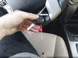 Miniaturka zdjęcia 11
