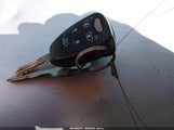 Miniaturka zdjęcia 11