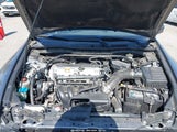 Miniaturka zdjęcia 10