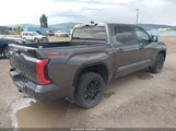 Toyota Tundra Platinum 5TFWA5DB4SX268222 снимка
