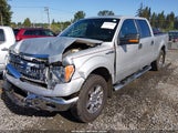 Ford F-150 Xlt 1FTFW1EF6EKF98943 снимка
