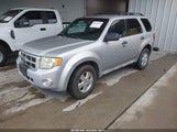 Ford Escape Xlt 1FMCU93G89KB69937 снимка