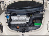 Volkswagen New Beetle 2.5/2.5 (A6) 3VWRW31C56M409999 photo