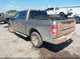 Ford F-150 Xlt 1FTEW1EB1JFC79929 fotografie