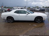Dodge Challenger Rallye Redline 2C3CDYAG5EH101084 fotografie