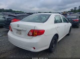 Toyota Corolla 1NXBU4EE5AZ246296 снимка