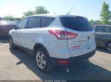 Ford Escape Se 1FMCU0GX2EUE37403 снимка