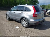 Honda Cr-V Ex JHLRE48507C071324 снимка