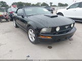 Ford Mustang Gt Deluxe/Gt Premium 1ZVFT85H575305762 photo