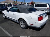 Ford Mustang V6 Deluxe/V6 Premium 1ZVFT84N275196541 fotografie