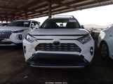 Toyota Rav4 Limited JTMY1RFV1KD019708 fotografie