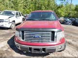 Ford F-150 Xlt 1FTFX1EF0BFA01173 photo