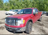 Ford F-150 Xlt 1FTFX1EF0BFA01173 photo
