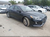 Miniaturka zdjęcia 1