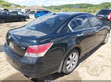 Honda Accord 3.5 Ex-L 1HGCP36808A029335 fotografie