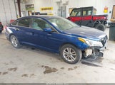 Hyundai Sonata 5NPE24AF6HH465228 снимка