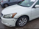 Honda Accord 3.5 Ex-L 1HGCP36819A025120 photo