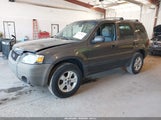 Ford Escape Xlt/Xlt Sport 1FMYU03146KA17503 fotografie