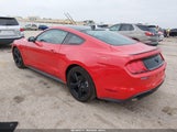 Ford Mustang Ecoboost Fastback 1FA6P8TH2M5151104 снимка