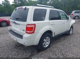 Ford Escape Limited 1FMCU0EGXAKB92178 снимка