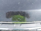 Chevrolet Traverse 1Lt 1GNKVGKD6DJ120542 снимка