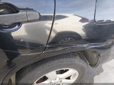 Toyota Rav4 JTMBD33V186078351 fotografie