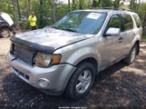 Ford Escape Xlt 1FMCU0DG9AKD01912 снимка