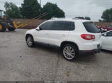 Volkswagen Tiguan Se WVGAV7AXXBW524469 fotografie