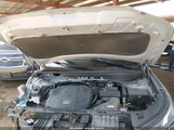 Hyundai Palisade Calligraphy KM8R7DHE3MU264219 photo