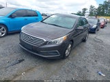 Hyundai Sonata Se 5NPE24AF8GH352525 photo
