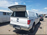 Ford F-150 Xlt 1FTFW1EF6EKE85610 снимка