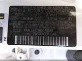 Kia Cadenza Limited KNALC4J18H5070585 photo