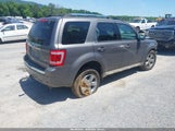 Ford Escape Limited 1FMCU94G39KB46774 снимка